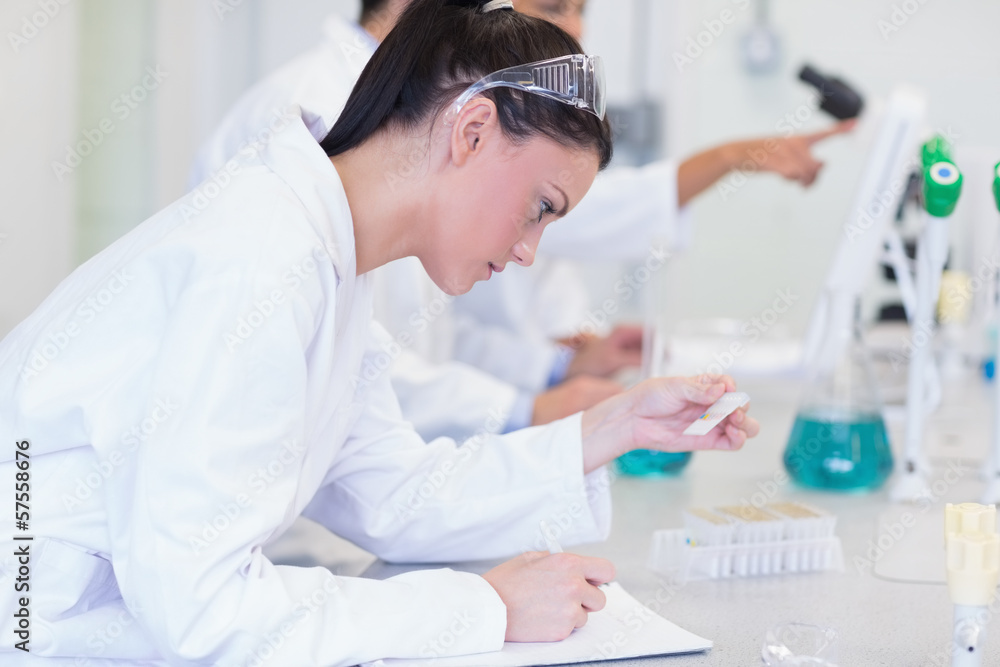Naklejka premium Researchers working on experiments in the laboratory
