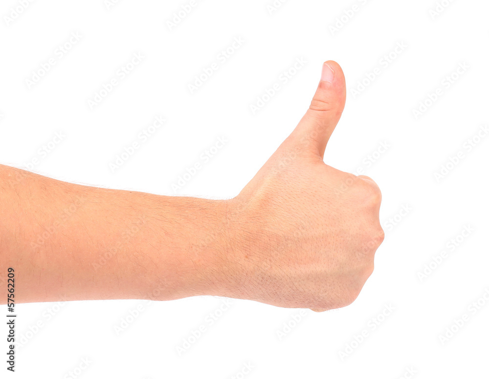 Thumb of man hand. Thumb of man hand.