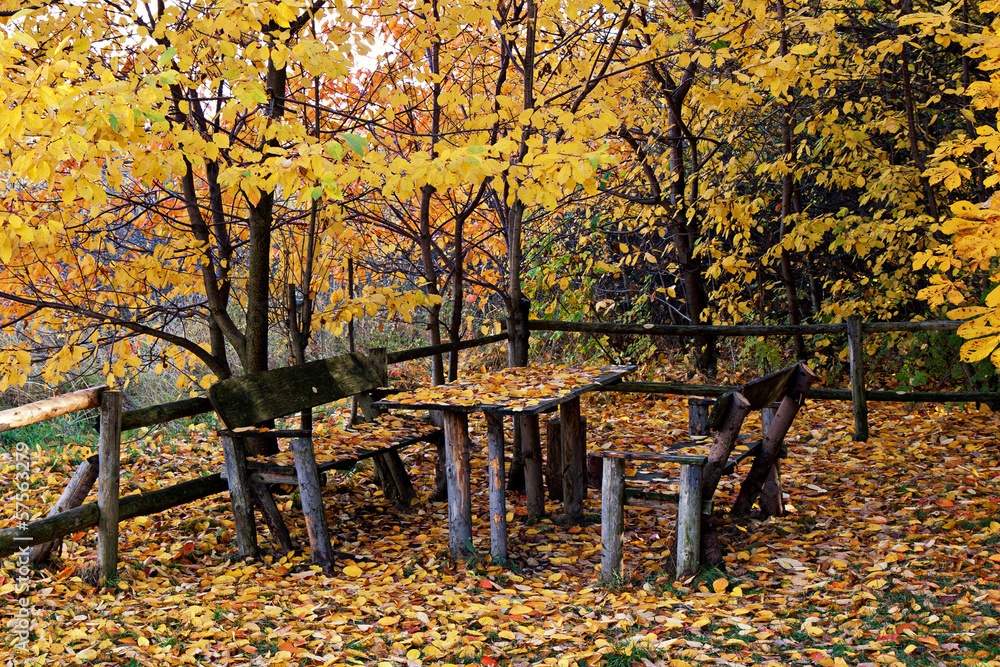 Autumn still life