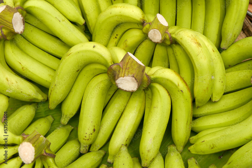 Rows of ripe yellow bananas Rows of ripe yellow bananas