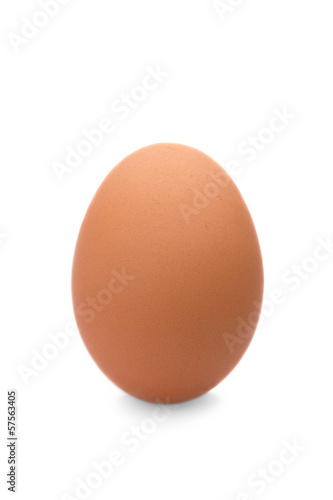 egg on white isolated background