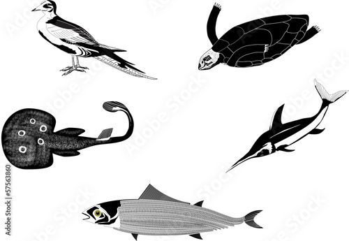 Sea inhabitants set