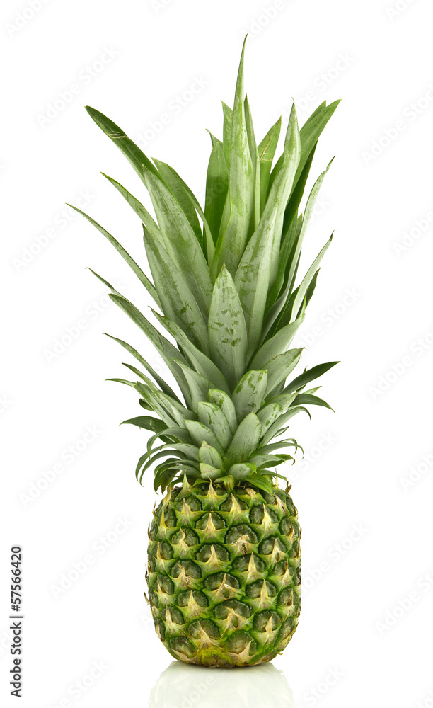 Fototapeta premium Ananas