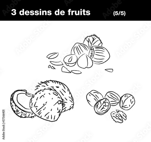 fruits à coque : noix de coco,noix, noisette