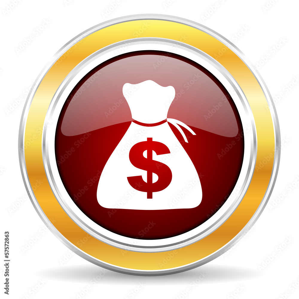 money icon