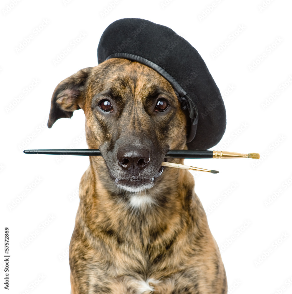 Fototapeta premium dog as a painter with a brush. isolated on white background