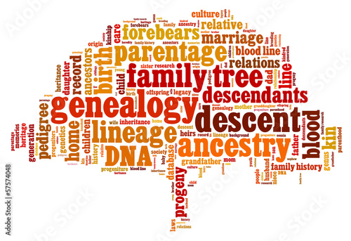 Word cloud related to genealogy and family  in form of tree photo