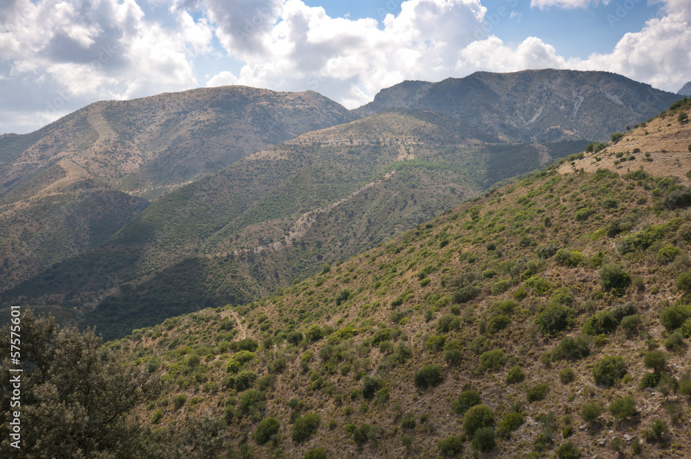 Mediterranean forest in Grazalema Natural Park, Andalusia, Spain