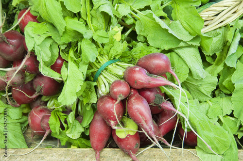 Red radish