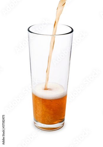 beer on white background