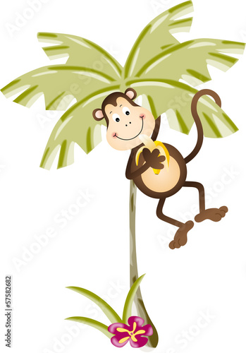 Monkey eating banana in palm tree