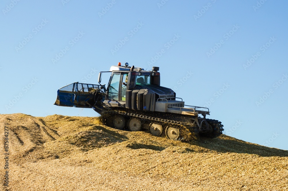 Obraz premium Maisernte, Planierfahrzeug