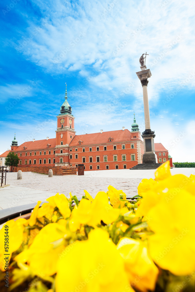 Fototapeta premium Royal castle and Zamkowy square