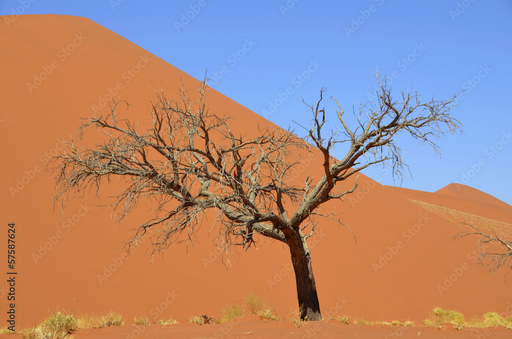 Namibia - Faszination Wüste-Sossusvlei