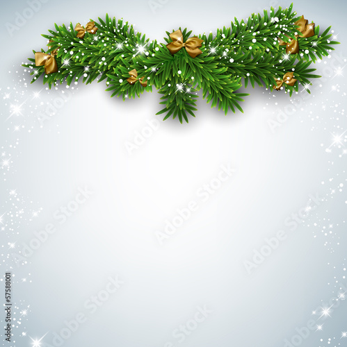 Christmas background with fir branches.