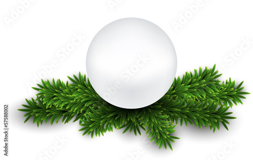 White pearl on christmas eve branches.