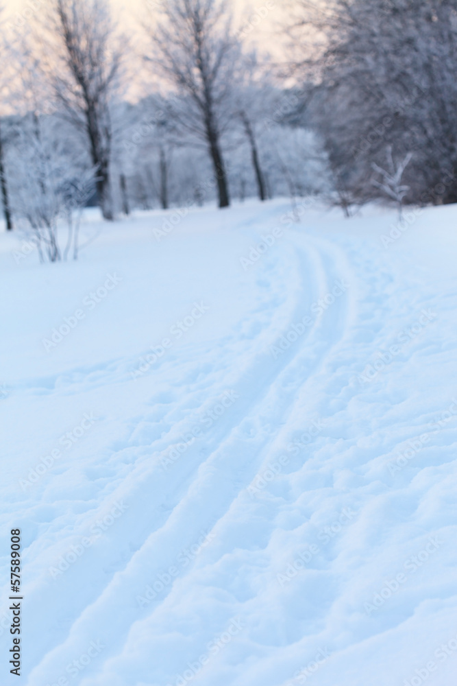 Winter landscape