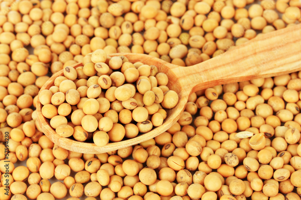 Soy beans close-up Soy beans close-up