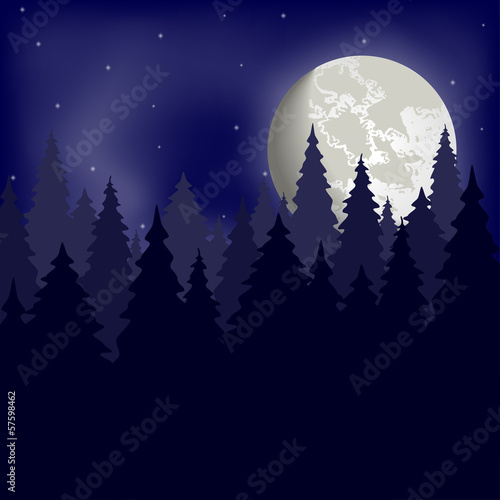 Forest and night sky