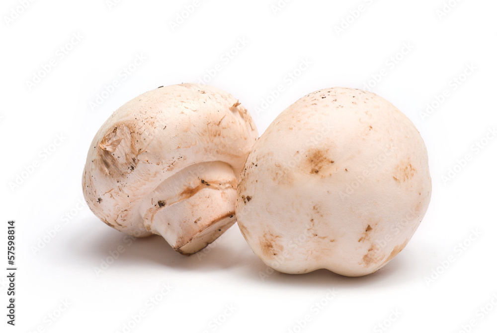 Two champignons isolated on white