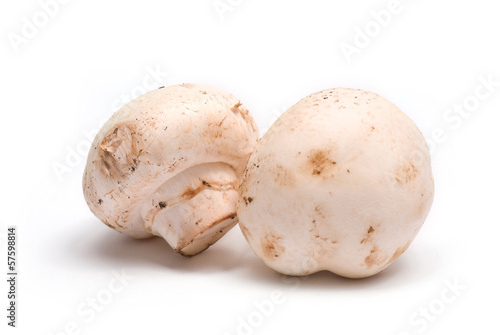Canvas-taulu Two champignons isolated on white