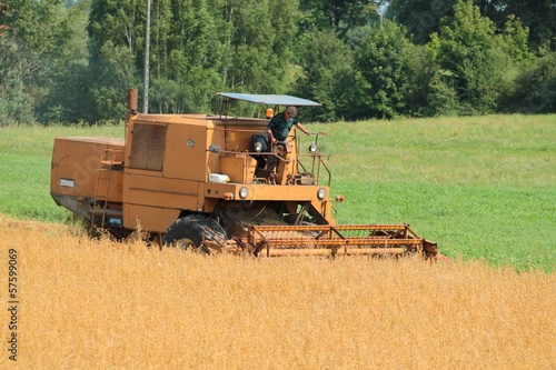 Combine harvesting wheat photo