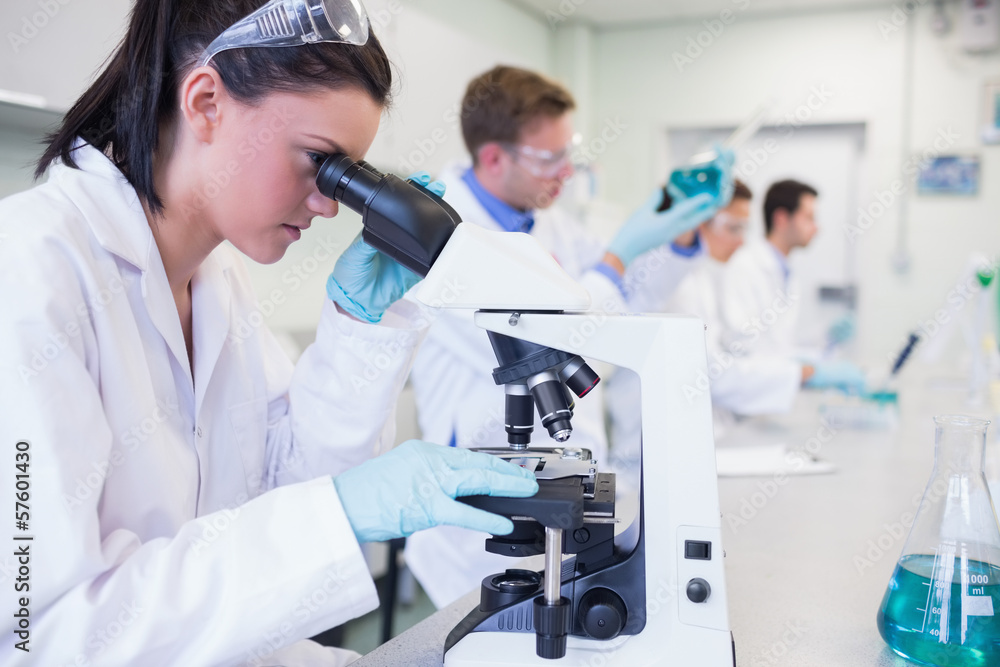 Busy researchers working on experiments in the lab Busy researchers working on experiments in the lab