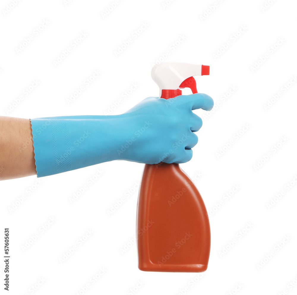 Hand in gloves holds spray bottle. Hand in gloves holds spray bottle.