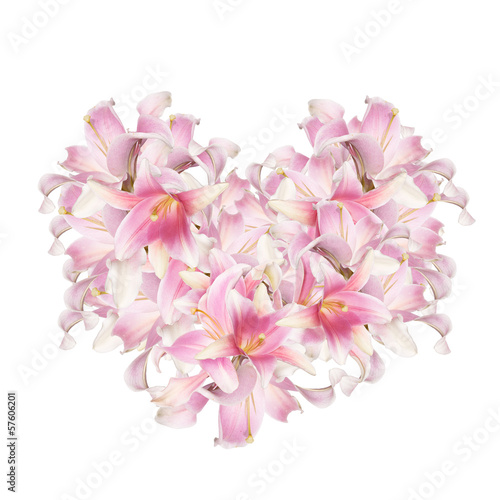 The beautiful abstract flowers Heart of the petals pink lily.