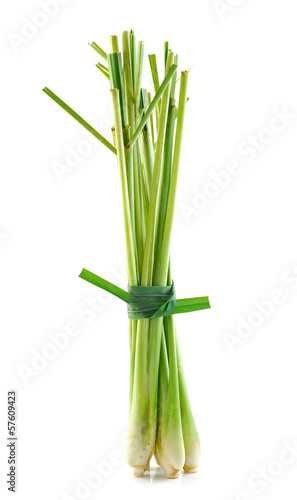 Lemon grass on white background