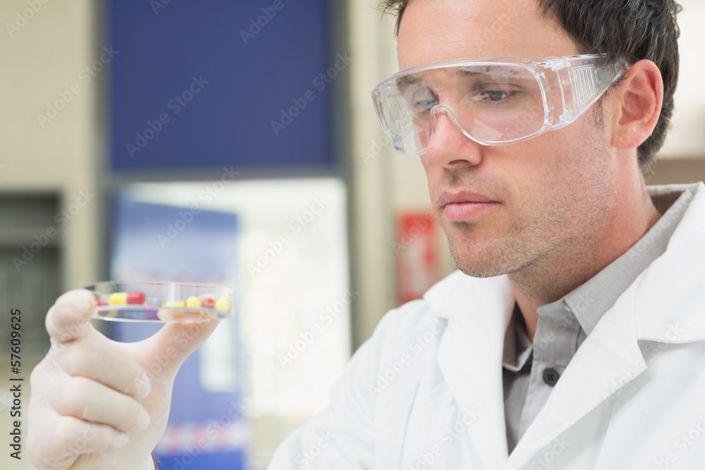 Male scientist analyzing pills in the laboratory Male scientist analyzing pills in the laboratory