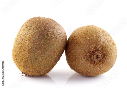 Kiwi fruit isolated on white background