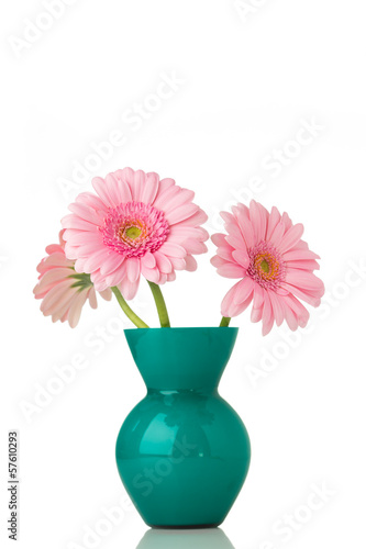 Fototapeta Naklejka Na Ścianę i Meble -  Gerbera.