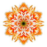 Orange Chrysanthemum Mandala Flower Kaleidoscope Isolated