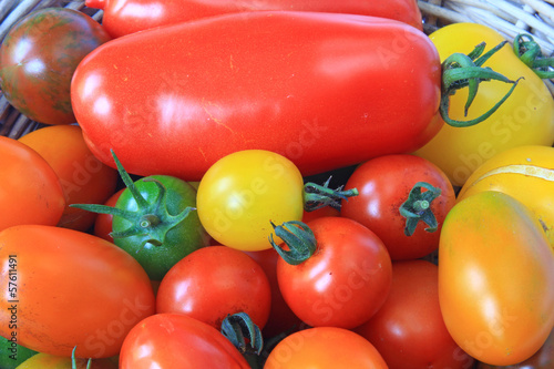 Bunte Tomatensorten