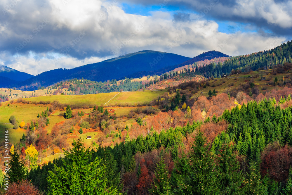 autumn hillside with red and yellow forest