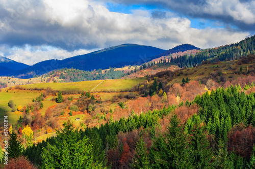 autumn hillside with red and yellow forest