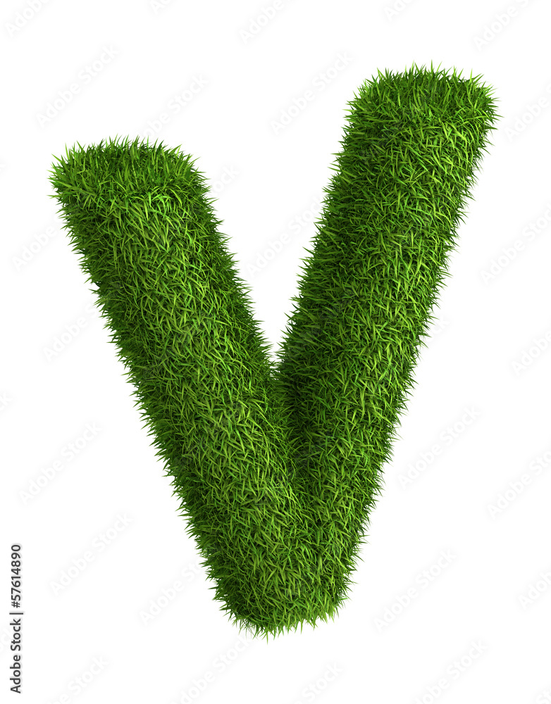 Natural grass letter V Natural grass letter V