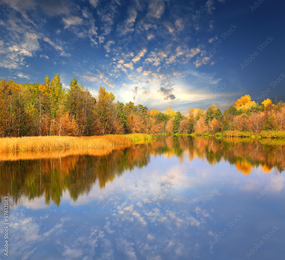Fototapeta premium Autumn scene on lake