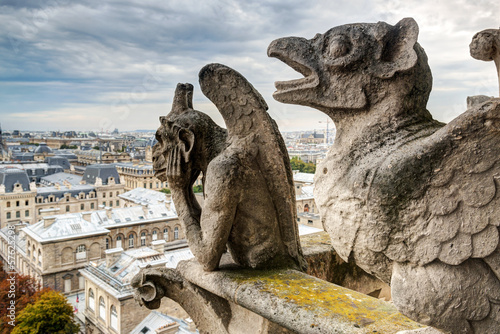 Chimeras (gargoyles) on Notre Dame de Paris cathedral, France photo