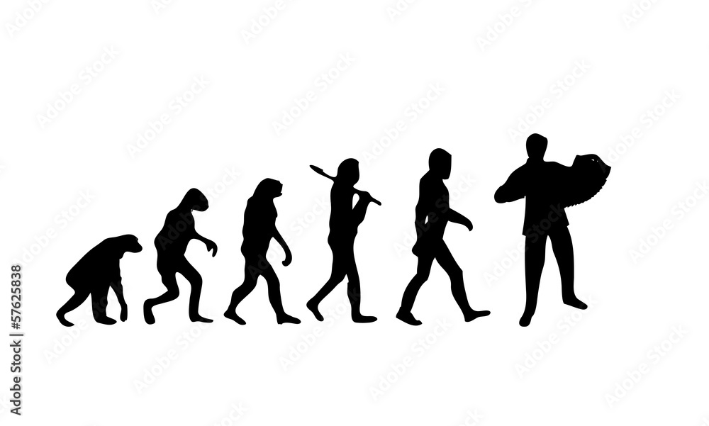 Evolution Accordion