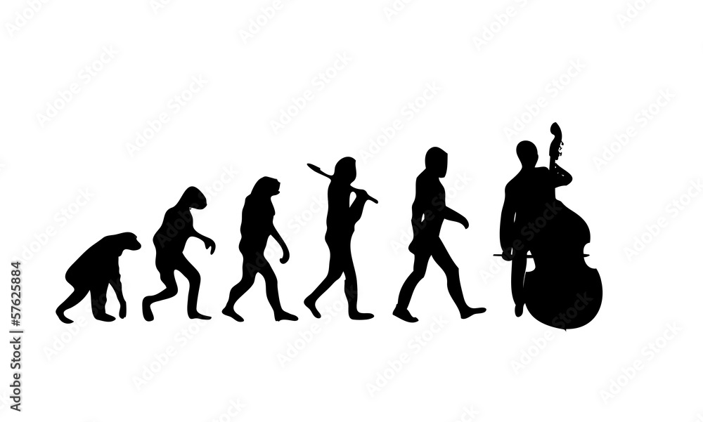 Evolution Cello