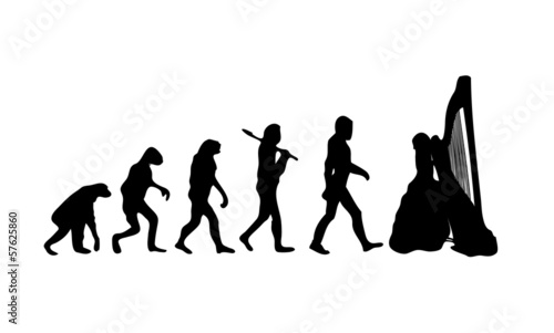 Evolution Harp