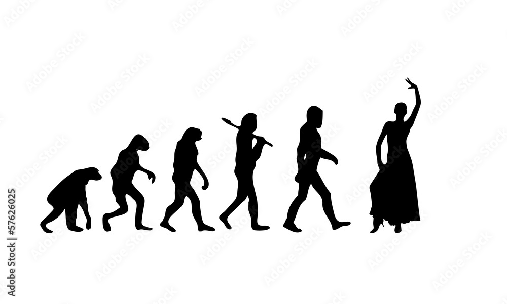 Evolution Flamenco