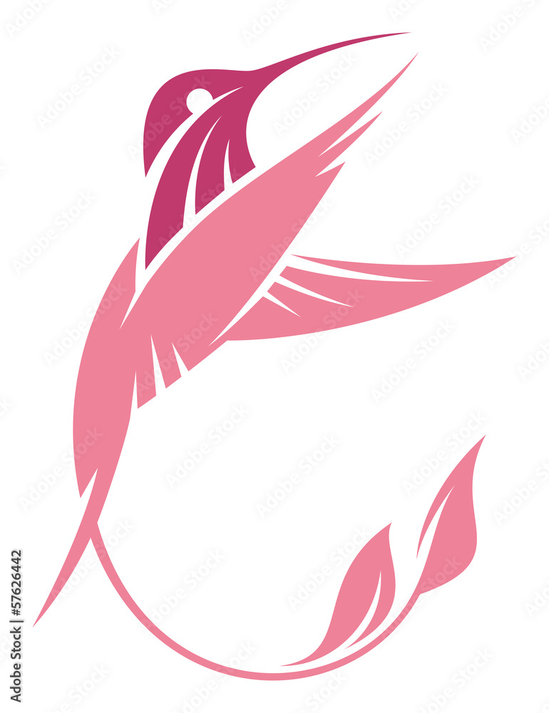Hummingbird Hummingbird