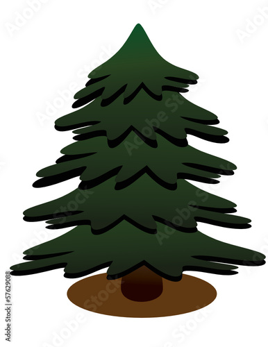 ungeschmückter  Weihnachtsbaum
