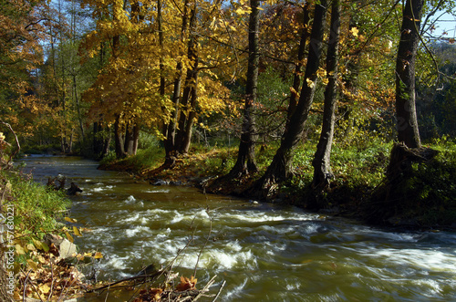Autumn creek