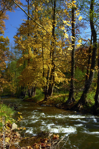 Autumn creek
