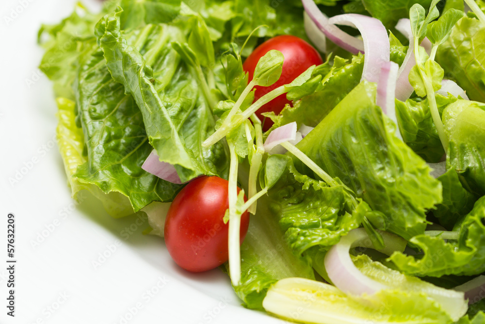 fresh vegetable salad fresh vegetable salad