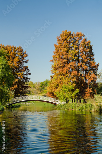 Vintage Bridge Over Lake With Late October Autumn Colors